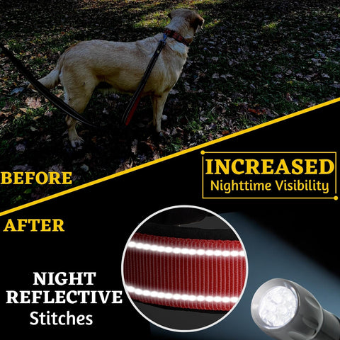 Adityna - Comfortable Dog Leash for Small, Medium, Large Dog Breeds - Double Handle Padded with Ultra Soft Neoprene