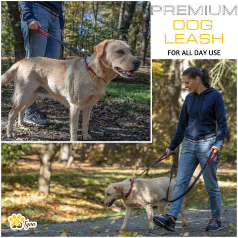 Comfortable Dog Leash for Small, Medium, Large Dog Breeds - Double Handle Padded with Ultra Soft Neoprene