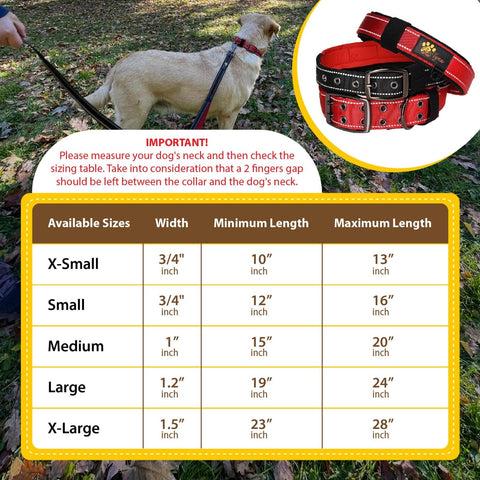 Dog Collar for Small Dogs - Red Dog Collar for Puppy Girls and Boys - Reflective Threads and Soft Padding