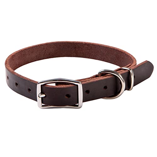 Premium Leather Dog Collar for Medium Dogs - Classic Style, Soft and Strong, Heavy Duty, 100% Genuine Leather, Handmade (Medium, Brown)