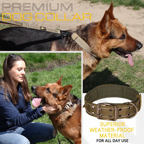 Dog Collar for All Dog Breeds - Heavy Duty, Reflective, Soft Padded Dog Collar (L, Green)