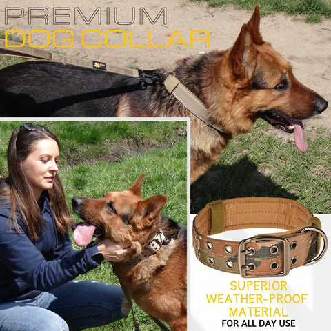 Dog Collar for All Dog Breeds - Heavy Duty, Reflective, Soft Padded Dog Collar (L, Camo)