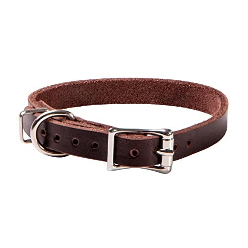ADITYNA Premium Leather Dog Collar for Extra-Small Dogs - Classic Style, Soft and Strong, 100% Genuine Leather, (Extra-Small, Brown)