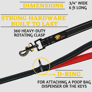 Comfortable Dog Leash for Small, Medium, Large Dog Breeds - Double Handle Padded with Ultra Soft Neoprene