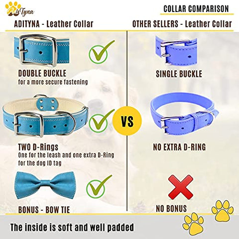 ADITYNA Padded Leather Dog Collar – Boy Dog Collars – Blue Dog Collars for Large Male Dogs