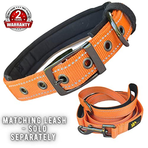 Adityna - Dog Collar for Medium Dogs - Heavy Duty Orange Dog Collar for Medium Breeds - Reflective Threads and Soft Padding (Medium, Orange)