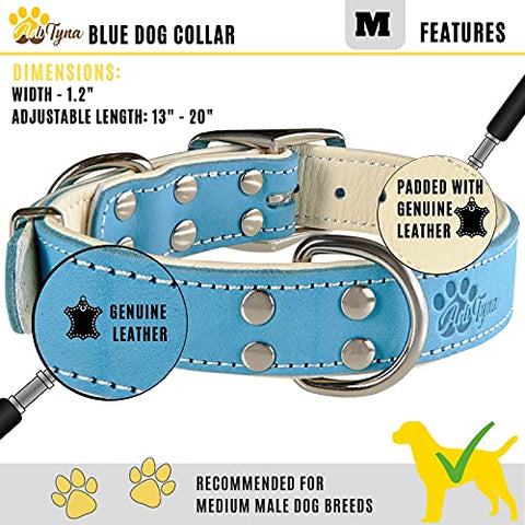 ADITYNA Padded Leather Dog Collar – Boy Dog Collars – Blue Dog Collars for Medium Male Dogs