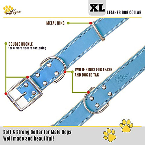 ADITYNA Padded Leather Dog Collar – Boy Dog Collars – Blue Dog Collars for Extra-Large Male Dogs