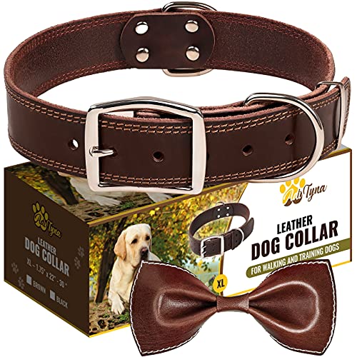 Activity4Dogs Luxury Dog Collar Real Leather for Large Dogs 3 cm Wide  Padded 5-Way Adjustable Made in Germany (L Brown/Black) : : Pet  Supplies
