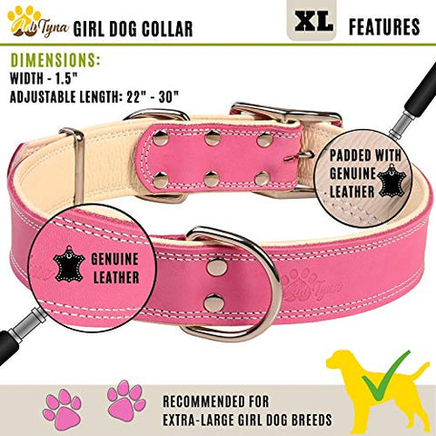 ADITYNA Padded Leather Dog Collar – Girl Dog Collars – Pink Dog Collars for Extra-Large Female Dogs