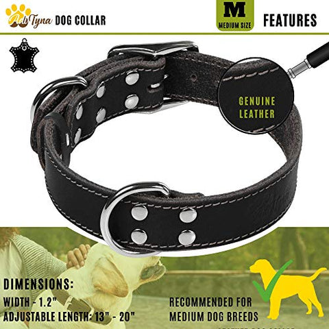 ADITYNA Leather Dog Collar for Medium Dogs - Heavy Duty Wide Dog Collars (M: 1,2" Width / 13"- 20" Length, Black)