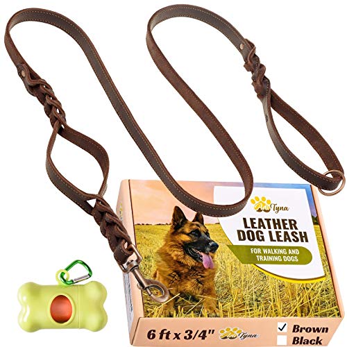 6ft Dog Leash, Strong Durable Leather Dog Leash, Genuine Leather Braided Dog  Leash, Soft and Comfortable Leather Leash for Large, Medium and Small Dogs  Training… : : Pet Supplies