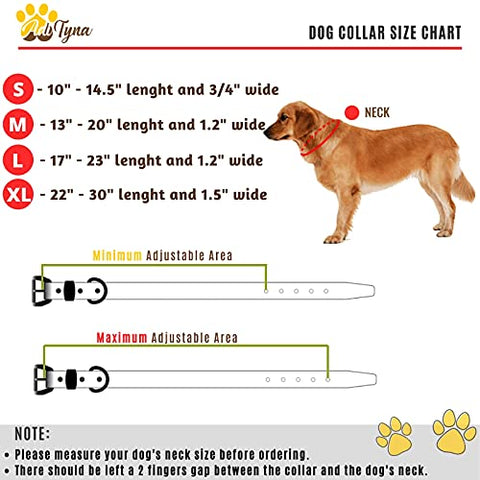 ADITYNA Padded Leather Dog Collar – Heavy Duty Red Dog Collars – Soft and Strong Dog Collars for Small Dogs