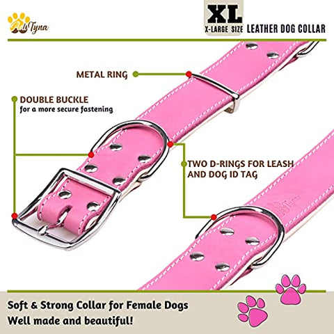 ADITYNA Padded Leather Dog Collar – Girl Dog Collars – Pink Dog Collars for Extra-Large Female Dogs