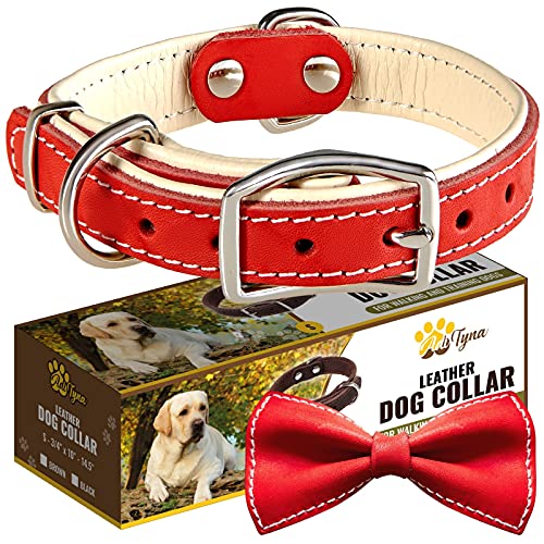 ADITYNA Padded Leather Dog Collar – Heavy Duty Red Dog Collars – Soft and Strong Dog Collars for Small Dogs