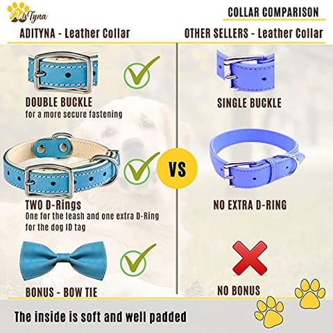 ADITYNA Padded Leather Dog Collar – Boy Dog Collars – Blue Dog Collars for Small Male Dogs
