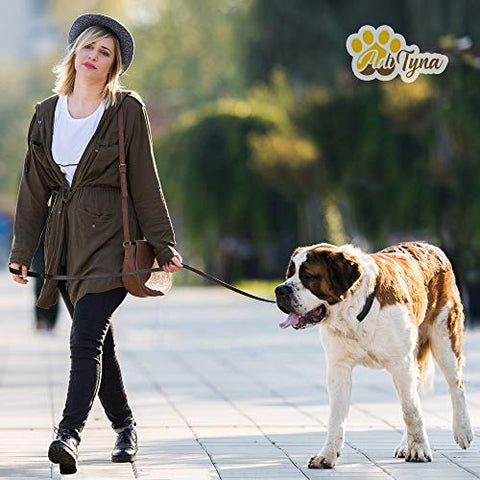 Heavy Duty Leather Dog Leash 6 Foot - Strong and Soft Leather Leash for Extra Large Dogs (XL - 6 ft x 1 inch, Black)