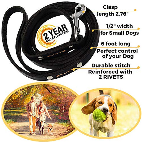 ADITYNA Leather Dog Leash 6 Foot - Soft and Strong Leather Leash for Small and Medium Dog (6 ft x 1/2", Black)