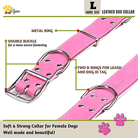ADITYNA Padded Leather Dog Collar – Girl Dog Collars – Pink Dog Collars for Large Female Dogs