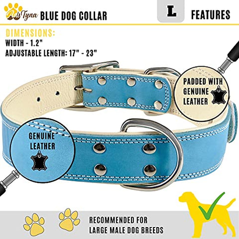 ADITYNA Padded Leather Dog Collar – Boy Dog Collars – Blue Dog Collars for Large Male Dogs