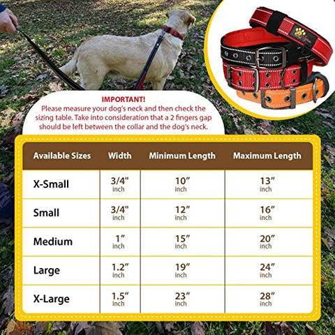 Adityna - Dog Collar for Small Dogs - Heavy Duty Orange Dog Collar for Small Dogs or Puppy - Reflective Threads and Soft Padding (Small, Orange)