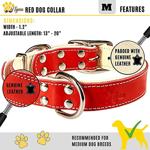 ADITYNA Padded Leather Dog Collar – Soft and Strong Red Dog Collars – Heavy Duty Dog Collars for Medium Dogs