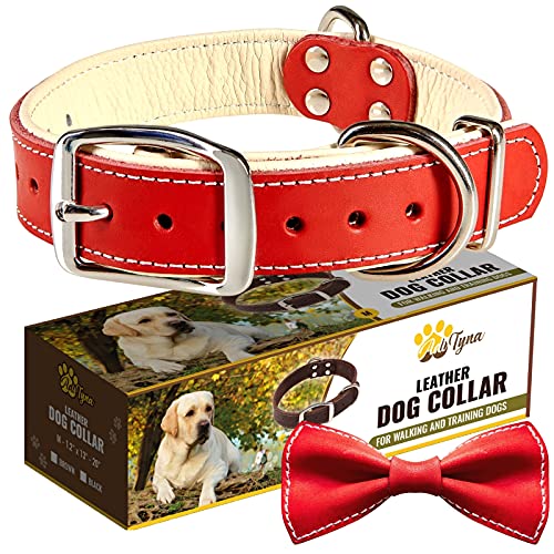 ADITYNA Padded Leather Dog Collar – Soft and Strong Red Dog Collars – Heavy Duty Dog Collars for Medium Dogs