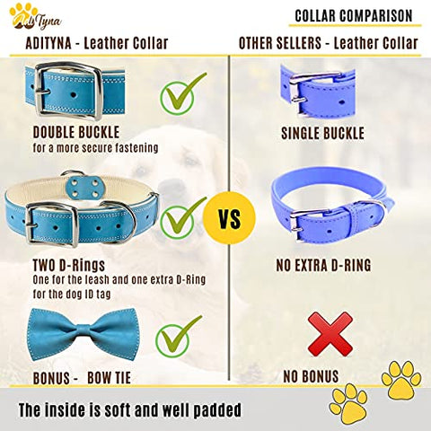 ADITYNA Padded Leather Dog Collar – Boy Dog Collars – Blue Dog Collars for Extra-Large Male Dogs