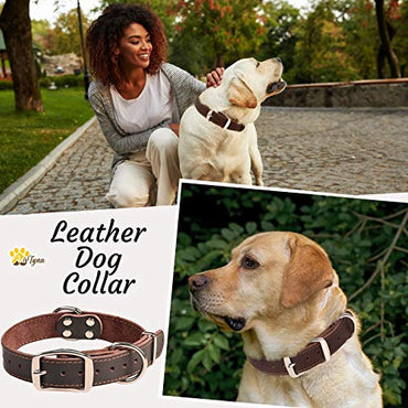 ADITYNA Leather Dog Collar for Medium Dogs - Heavy Duty Wide Dog Collars (M: 1,2" Width / 13"- 20" Length, Brown)