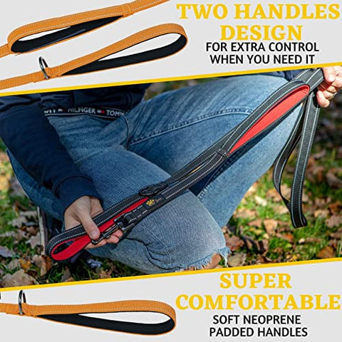 Adityna - Comfortable Dog Leash for Small, Medium, Large Dog Breeds - Double Handle Padded with Ultra Soft Neoprene