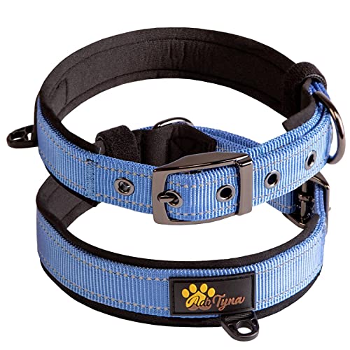 Adityna - Dog Collar for Small Dogs - Blue Dog Collar for Puppy Boys - Reflective Threads and Soft Padding