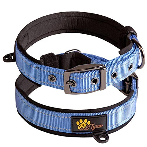 Adityna - Dog Collar for Extra-Small Dogs - Blue Dog Collar for Puppy Boys - Reflective Threads and Soft Padding