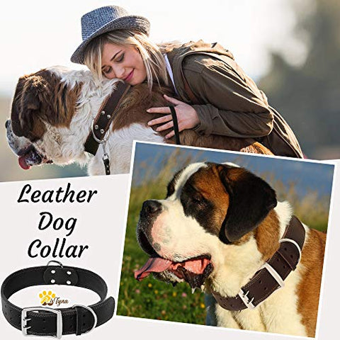 Leather Dog Collar for Extra-Large Dogs - Heavy Duty Wide Dog Collars (XL: 1,5" Width / 22"- 30" Length, Black)