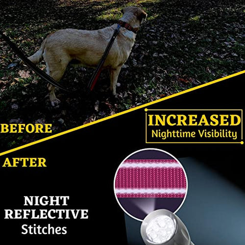 Adityna - Comfortable Dog Leash for Small, Medium, Large Dog Breeds - Double Handle Padded with Ultra Soft Neoprene