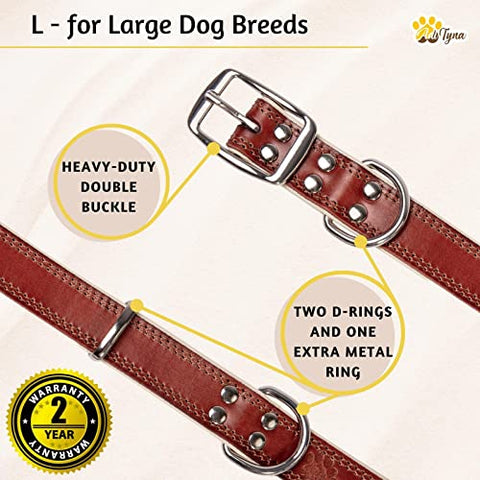 ADITYNA Premium Leather Dog Collar for Large Dogs - Padded with 100% Genuine Leather - Soft and Strong Dog Collars