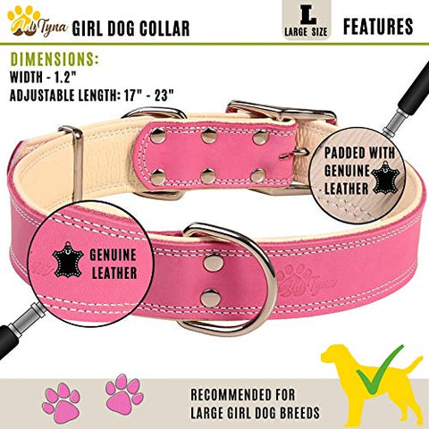 ADITYNA Padded Leather Dog Collar – Girl Dog Collars – Pink Dog Collars for Large Female Dogs