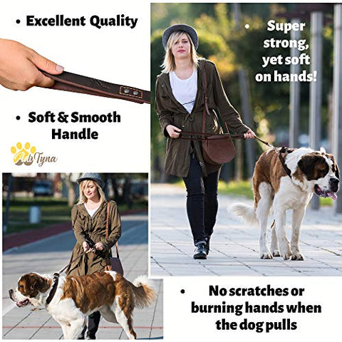 Heavy Duty Leather Dog Leash 6 Foot x 1" - Soft and Strong Dog Leash for Large Dogs and Extra Large Dogs (XL - 6 ft x 1 inch, Brown)