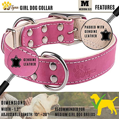 ADITYNA Padded Leather Dog Collar – Girl Dog Collars – Pink Dog Collars for Medium Female Dogs