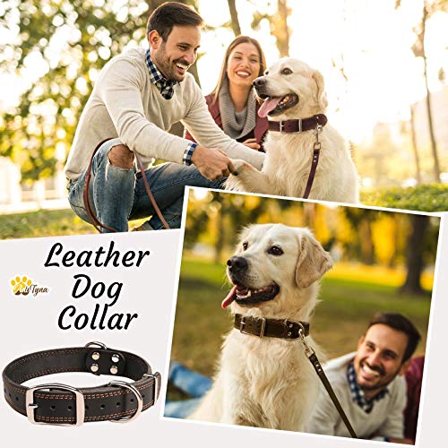 ADITYNA Padded Leather Dog Collar – Boy Dog Collars – Blue Dog Collars for  Medium Male Dogs