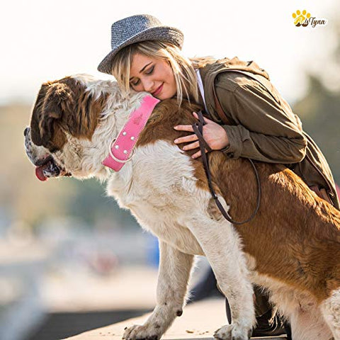 ADITYNA Padded Leather Dog Collar – Girl Dog Collars – Pink Dog Collars for Extra-Large Female Dogs