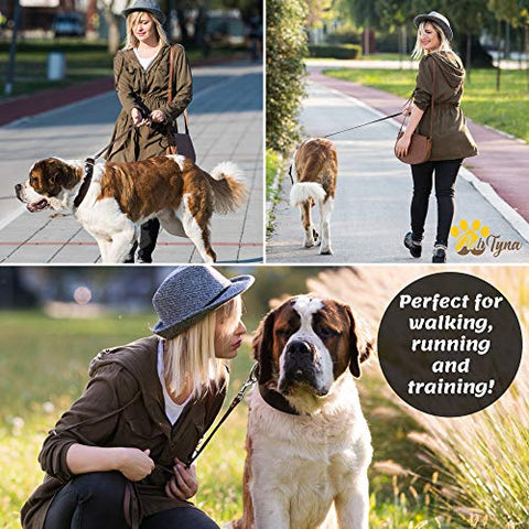 Heavy Duty Leather Dog Leash 6 Foot x 1" - Soft and Strong Dog Leash for Large Dogs and Extra Large Dogs (XL - 6 ft x 1 inch, Brown)