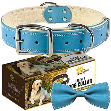 ADITYNA Padded Leather Dog Collar – Boy Dog Collars – Blue Dog Collars for Extra-Large Male Dogs
