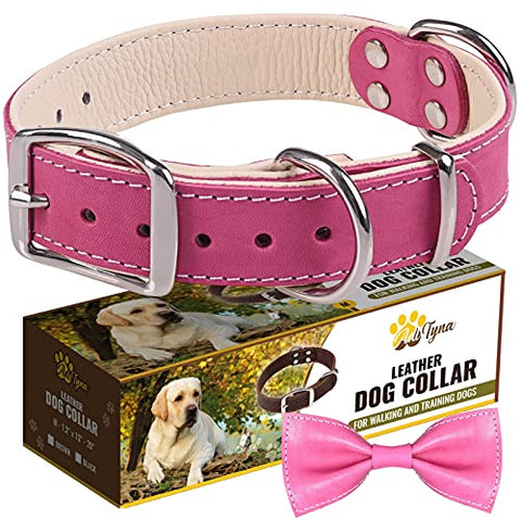 ADITYNA Padded Leather Dog Collar – Girl Dog Collars – Pink Dog Collars for Medium Female Dogs