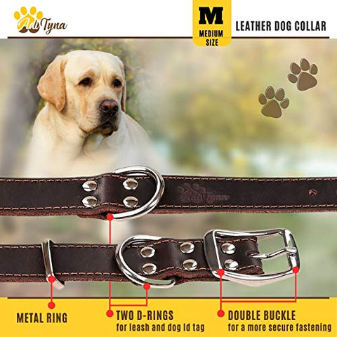 ADITYNA Leather Dog Collar for Medium Dogs - Heavy Duty Wide Dog Collars (M: 1,2" Width / 13"- 20" Length, Brown)