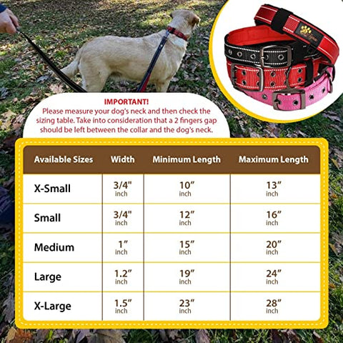 Adityna - Dog Collar for Small Dogs - Pink Dog Collars for Puppy Girls - Reflective Threads and Soft Padding