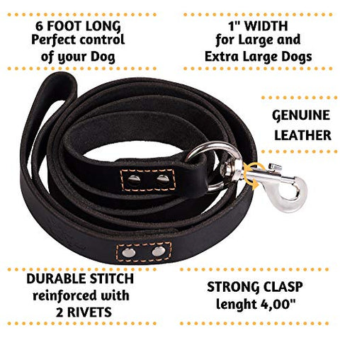 Heavy Duty Leather Dog Leash 6 Foot - Strong and Soft Leather Leash for Extra Large Dogs (XL - 6 ft x 1 inch, Black)