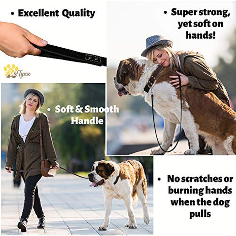 Heavy Duty Leather Dog Leash 6 Foot - Strong and Soft Leather Leash for Extra Large Dogs (XL - 6 ft x 1 inch, Black)