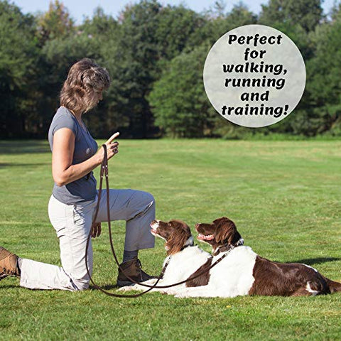 ADITYNA Leather Dog Leash 6 Foot - Soft and Strong Leather Leash for Small and Medium Dog (6 ft x 5/8", Brown)