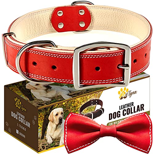 ADITYNA Padded Leather Dog Collar – Heavy Duty Red Dog Collars – Soft and Strong Dog Collars for Large Dogs