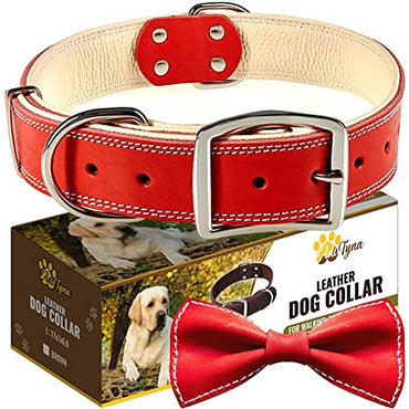 ADITYNA Padded Leather Dog Collar – Heavy Duty Red Dog Collars – Soft and Strong Dog Collars for Large Dogs